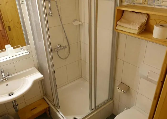 Ruecklhof سخلادميخ